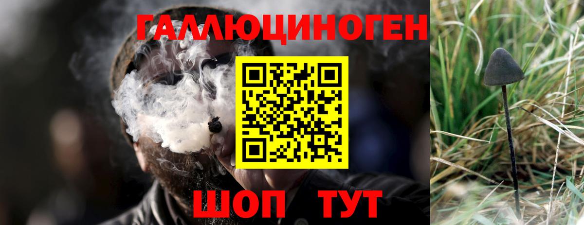 Псилоцибиновые грибы мухоморы  Псилоцибиновые грибы Psilocybine cubensis  Великий Новгород  Вход с VPN 