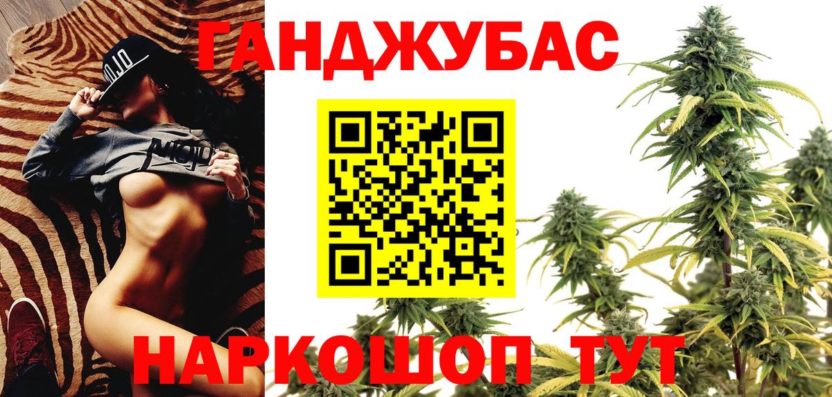 МЕФ Великий Новгород